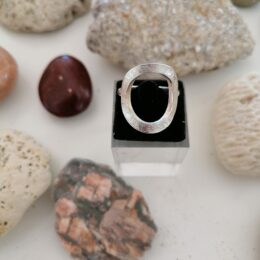 Bague Le P'tit Franc Liberté argent