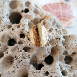 Bague 5 centimes Le P'tit Franc