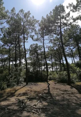 img-history-inspi-4 img-history-inspi-4