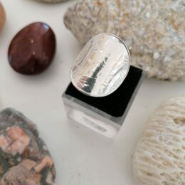 Bague 20 centimes Le P'tit Franc