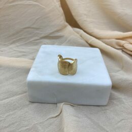 Bague le p'tit franc iel or