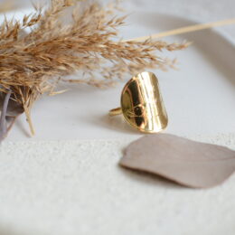 Bague fabriquée à partir d'une véritable pièce Slovène sur laquelle on retrouve une truite et ses petits