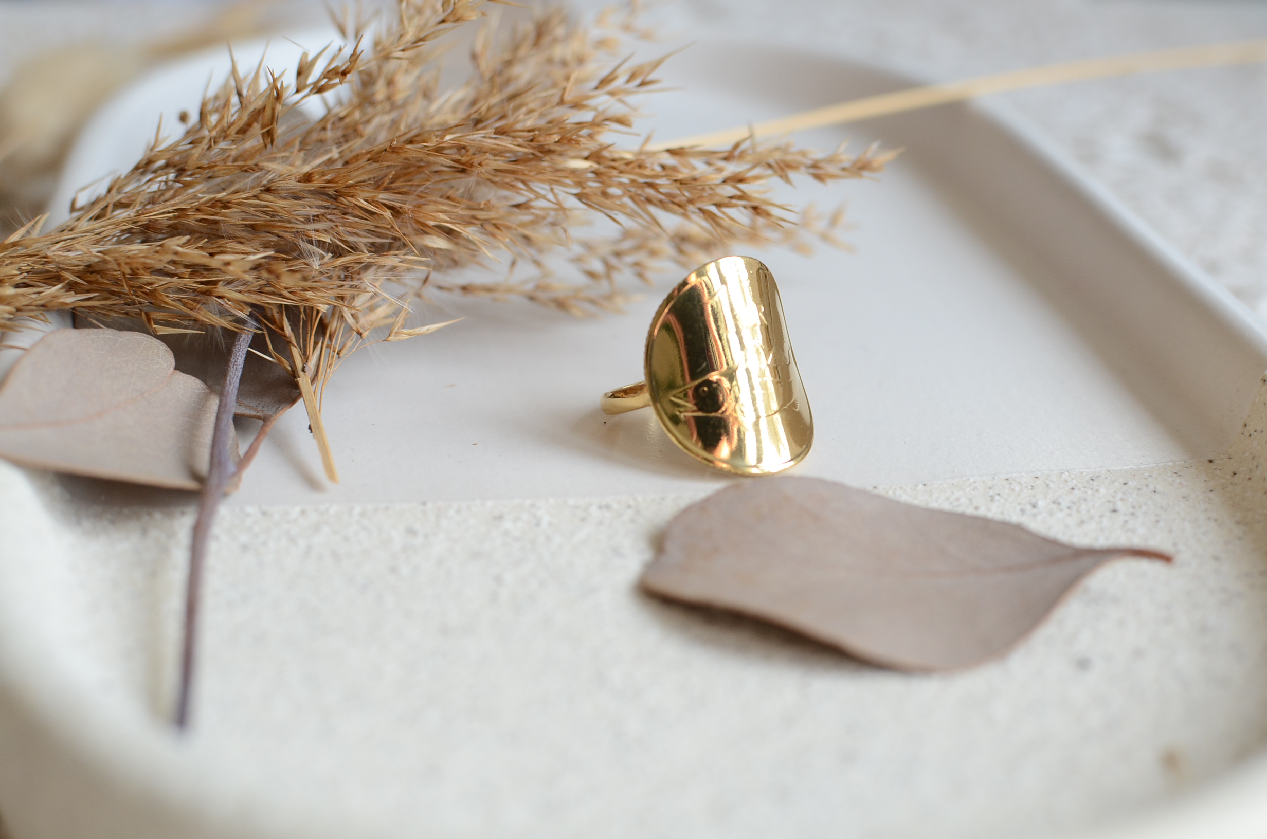 Bague fabriquée à partir d'une véritable pièce Slovène sur laquelle on retrouve une truite et ses petits