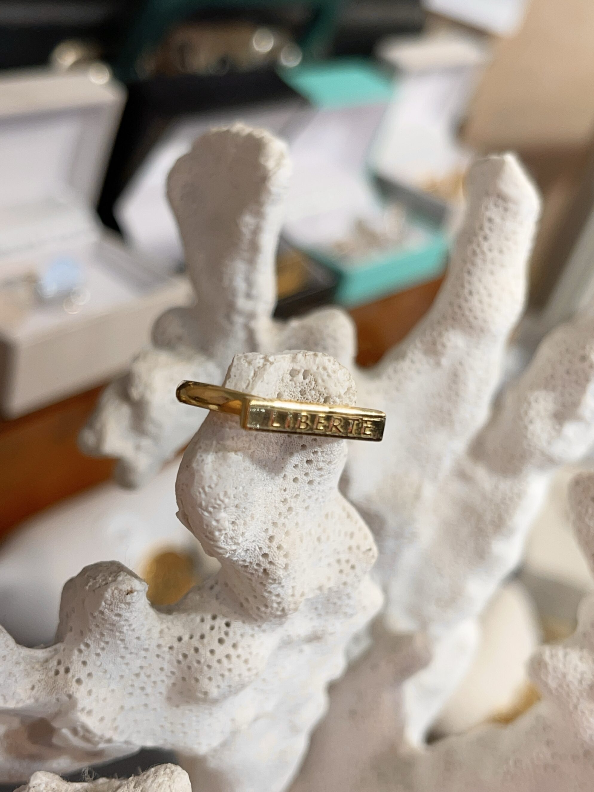 bague_râleuse_pièce_de_monnaie